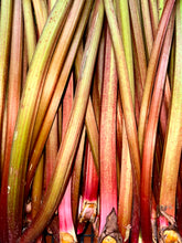 Load image into Gallery viewer, DISTILLER’S CHOICE BATCH 02 - RHUBARB &amp; GINGER
